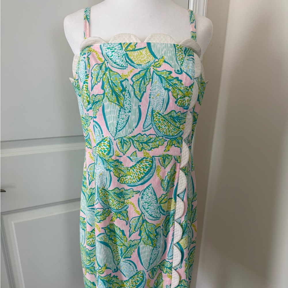 Lilly Pulitzer Dress- Perfect spring dress!